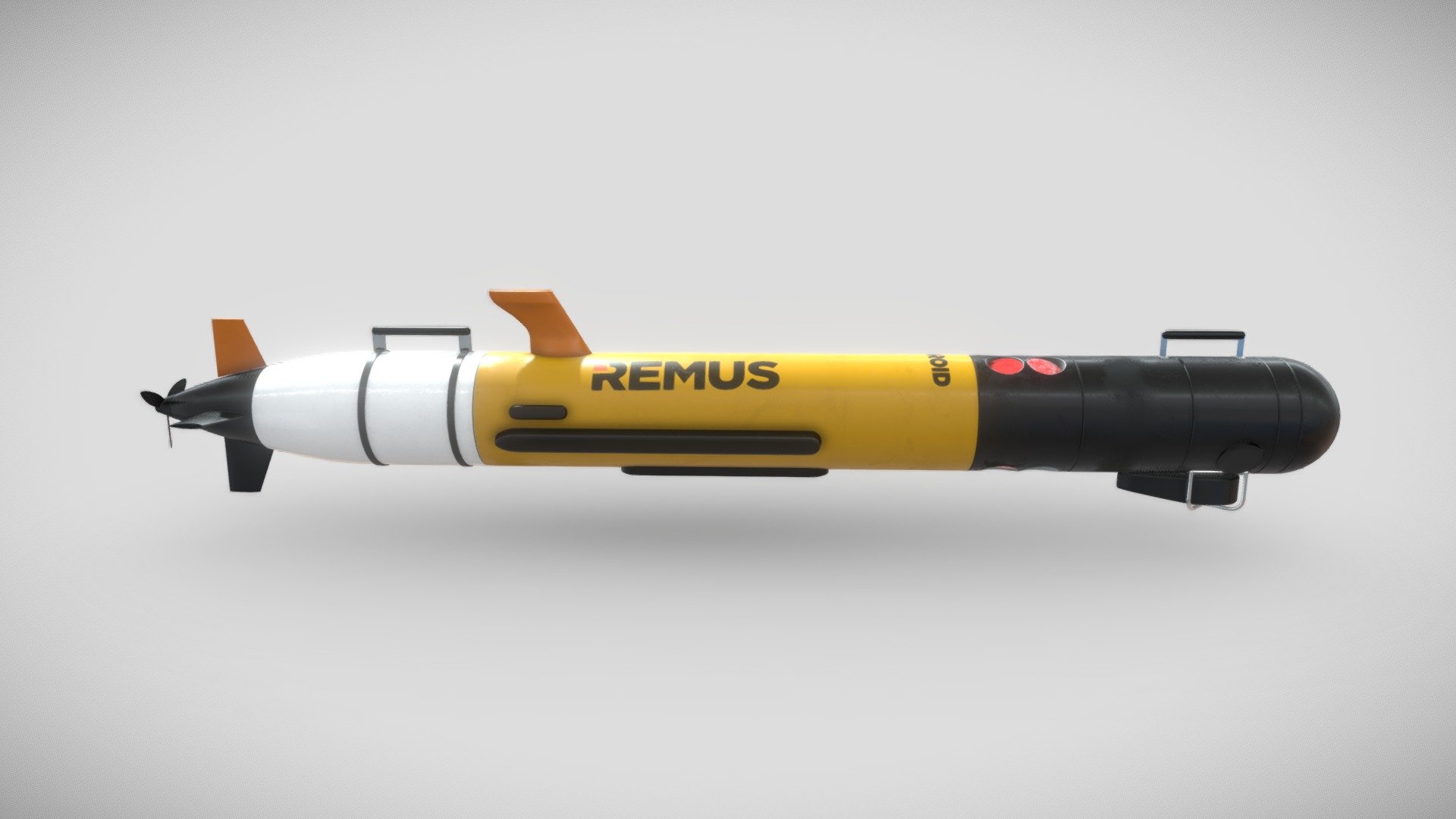 REMUS 100