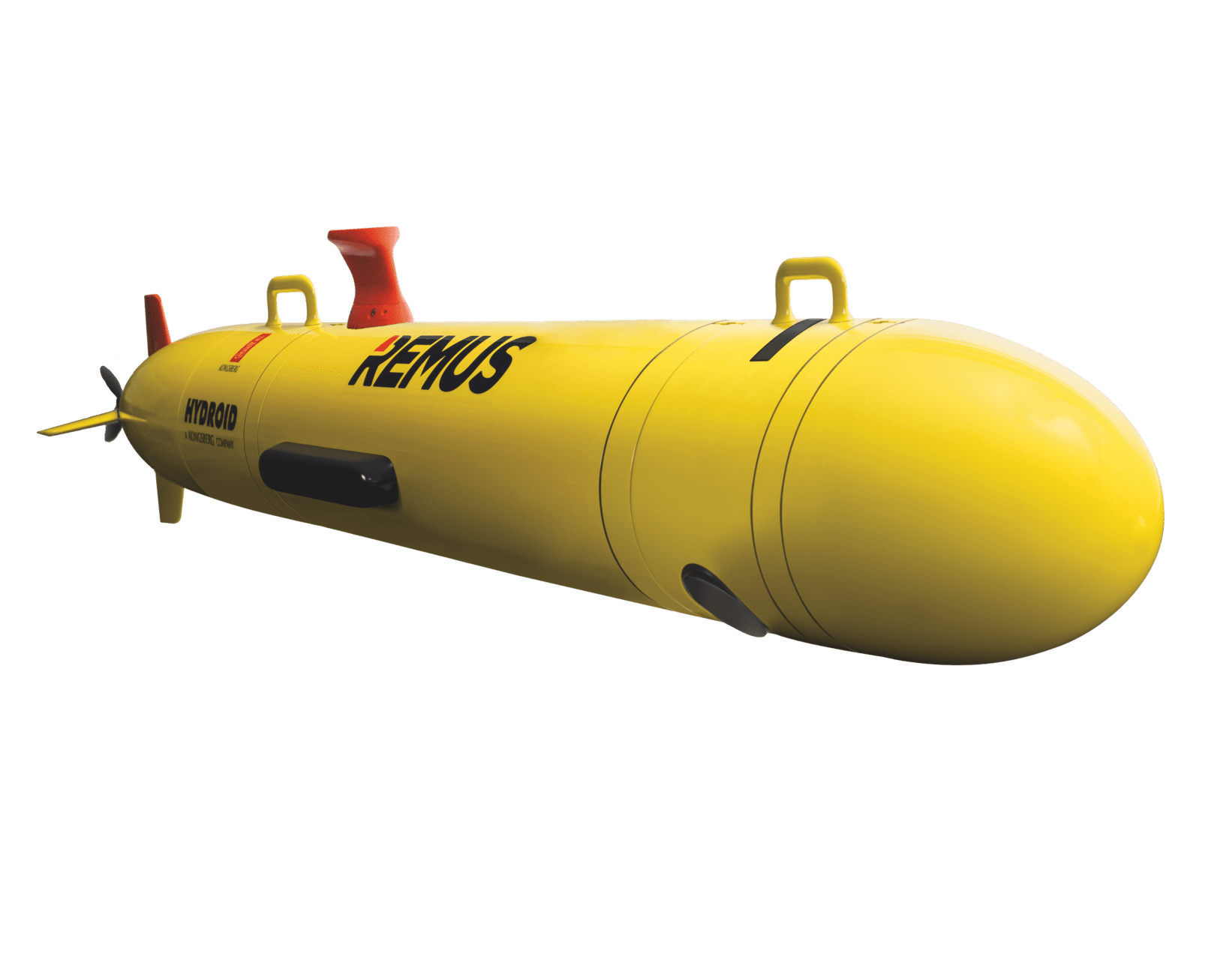 REMUS 100