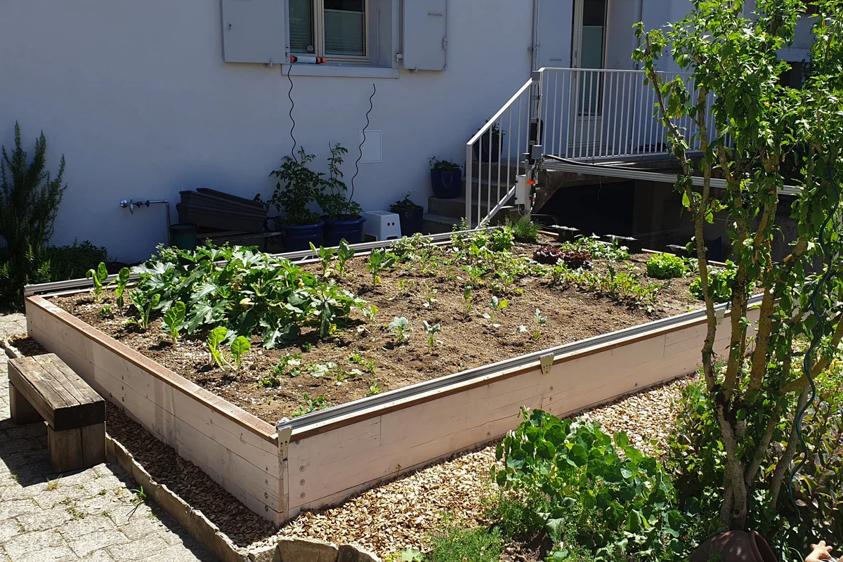 FarmBot Express v1.1