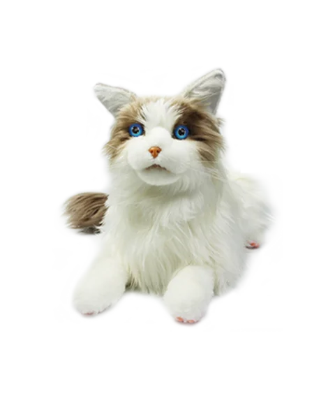 metaCat
