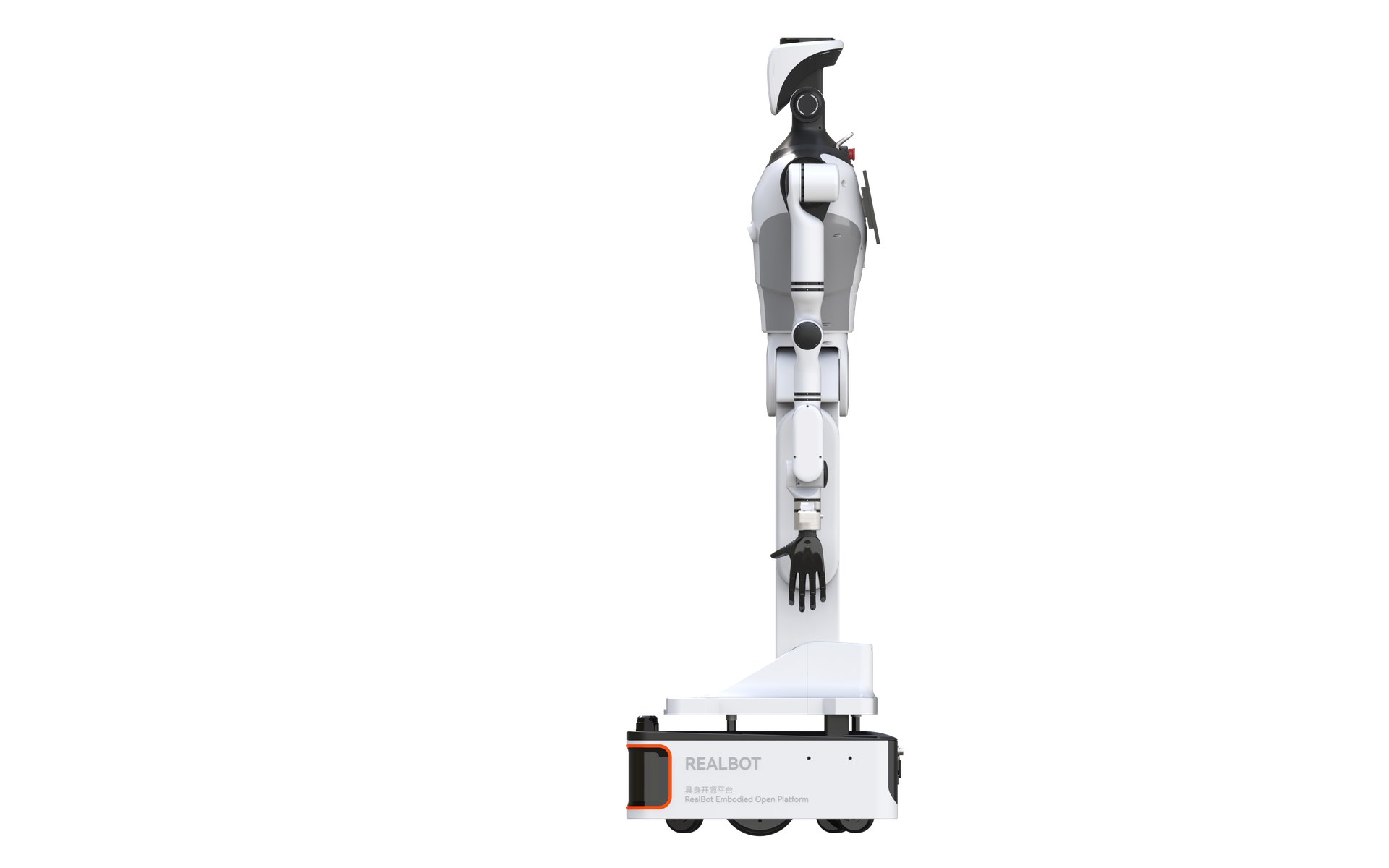 RealBot-01