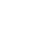 VNE35