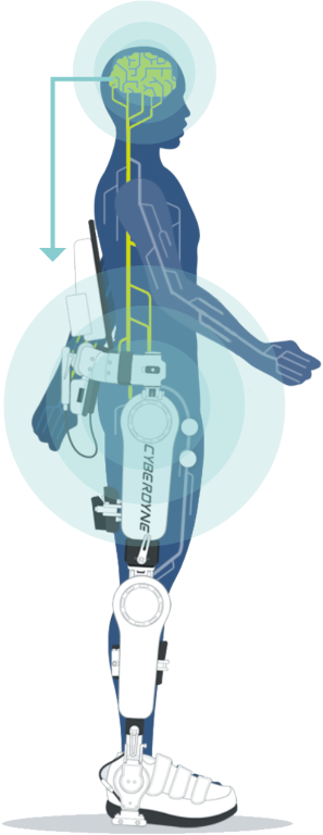HAL® Lumbar Type for Well-being