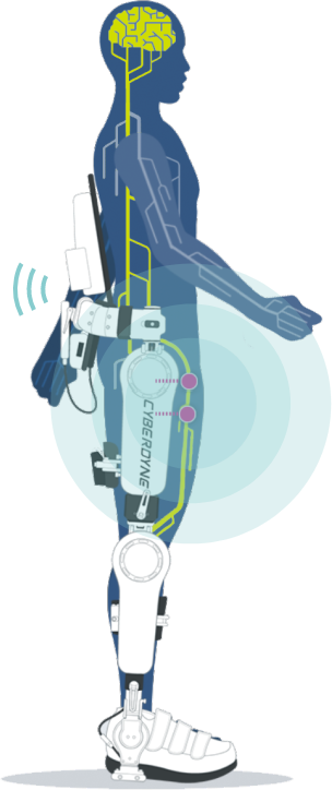 HAL® Lumbar Type for Well-being