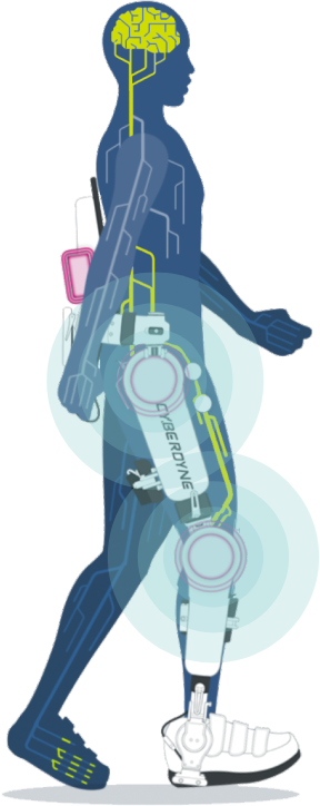 HAL® Lumbar Type for Well-being