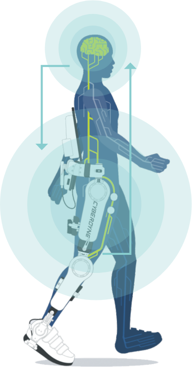 HAL® Lumbar Type for Well-being