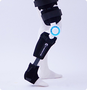 Well-Being HAL® – Single Joint Type