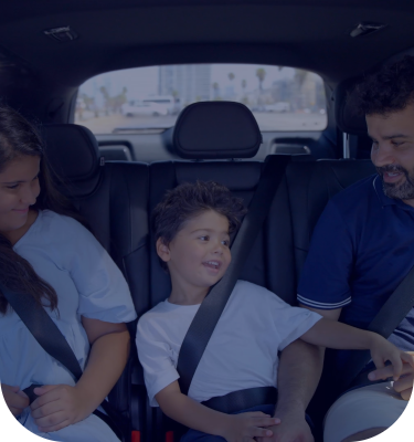 Mobileye Drive™