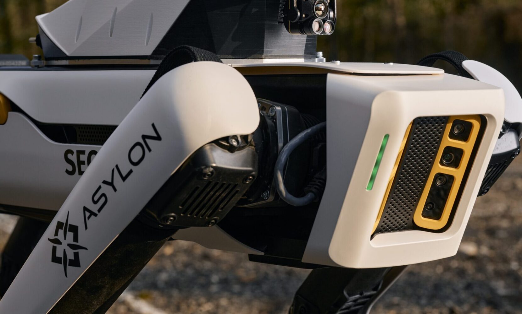 DRONEDOG SECURITY ROBOT