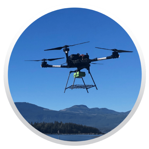 DRONES