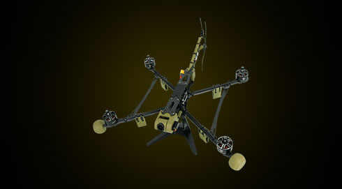 Wild Hornet Digital