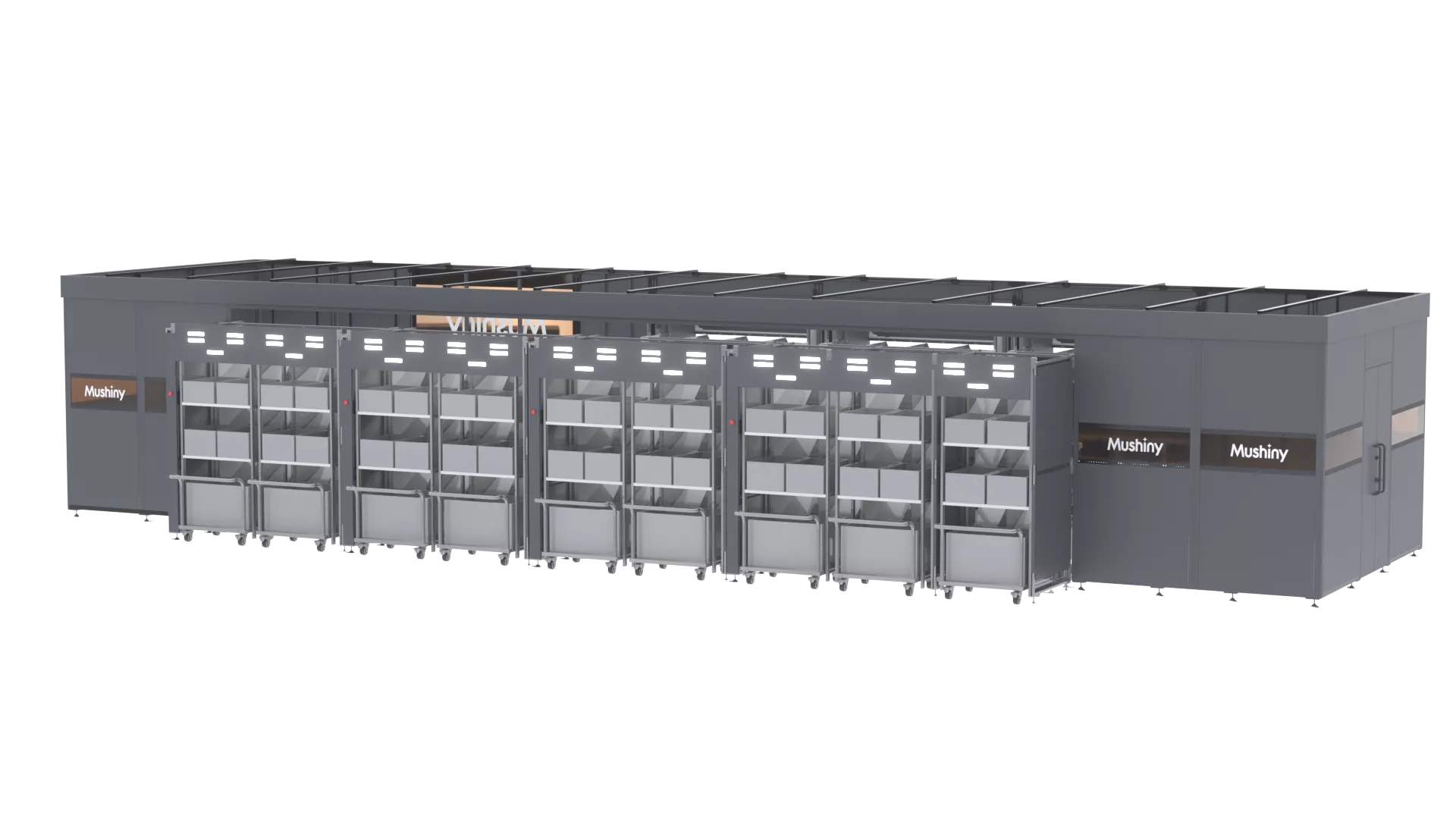 3D Sorter Max intelligent Put Order Solution