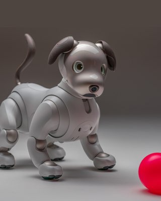 Aibo