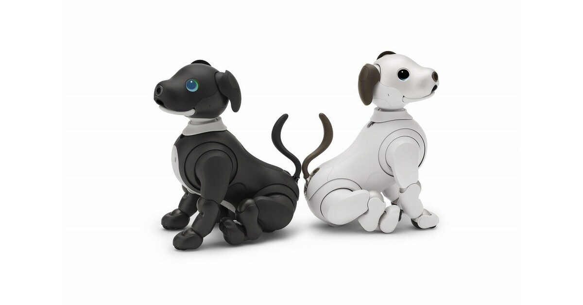Aibo