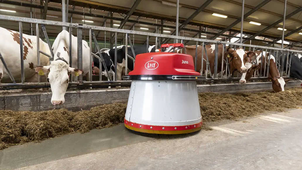 Lely Juno