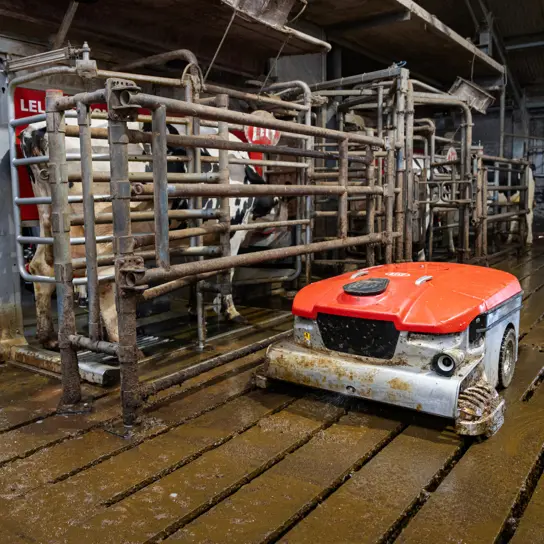 Lely Discovery Collector