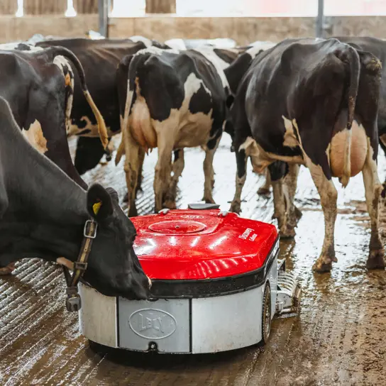 Lely Discovery Collector