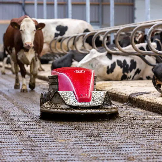 Lely Discovery Scraper