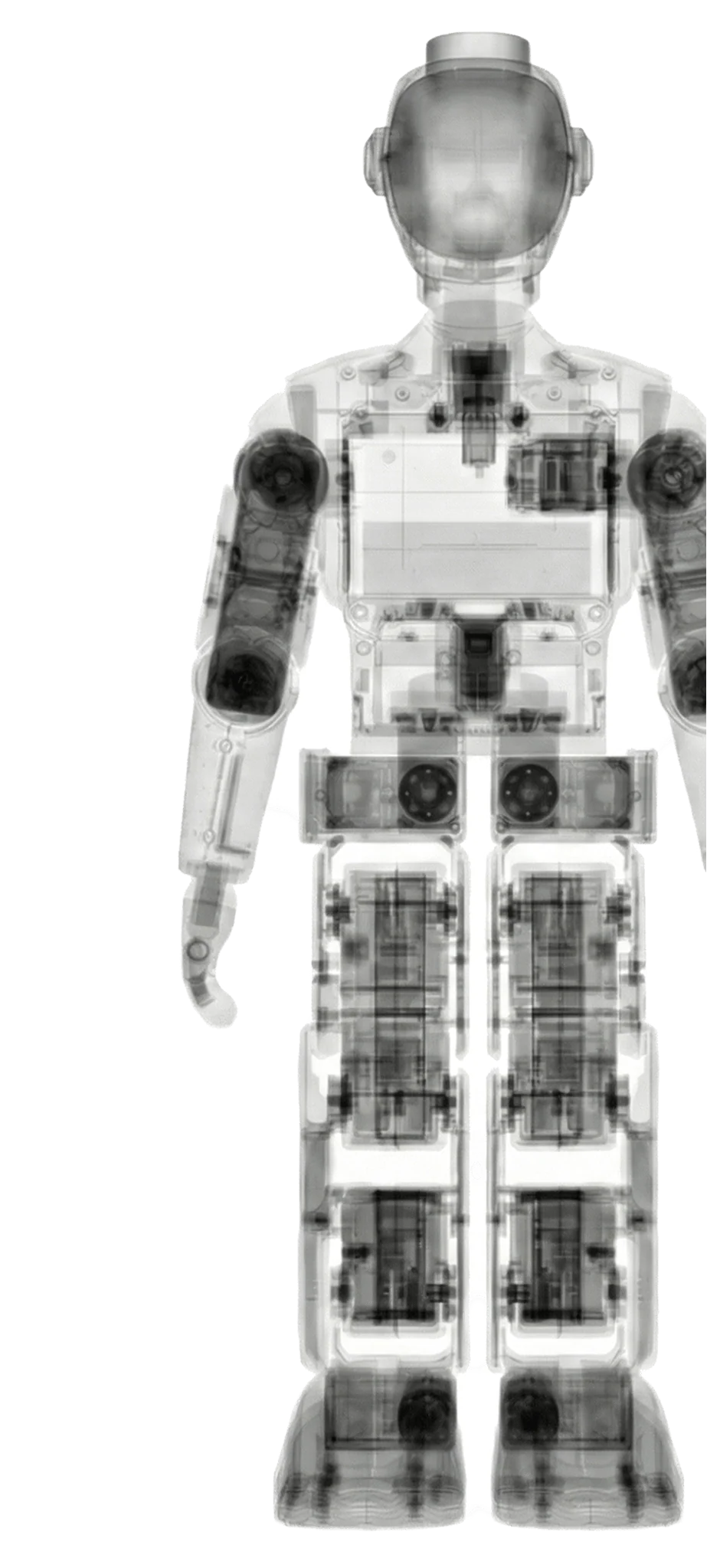 Zeroth M1 internal structure, front view