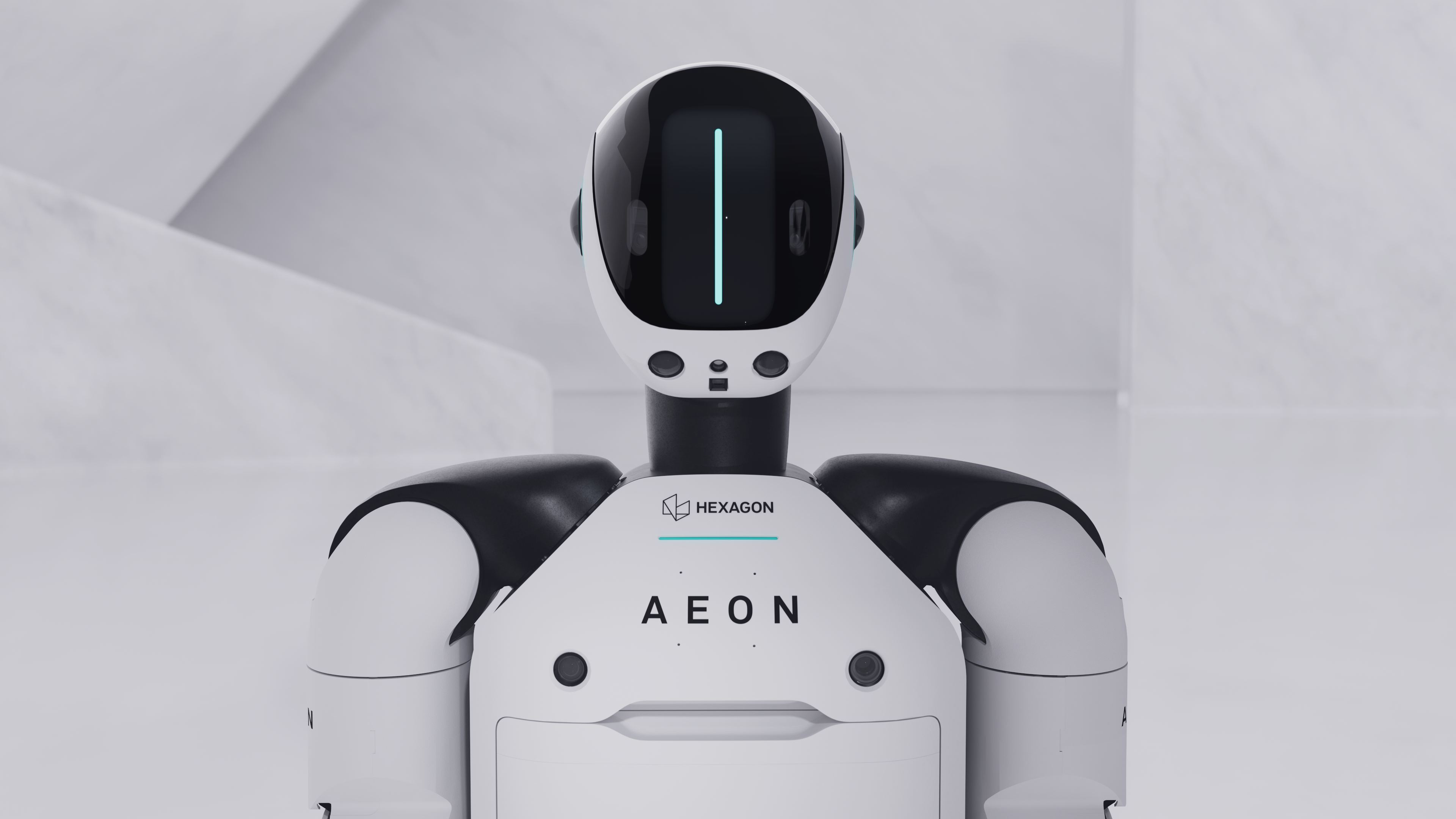AEON head and torso