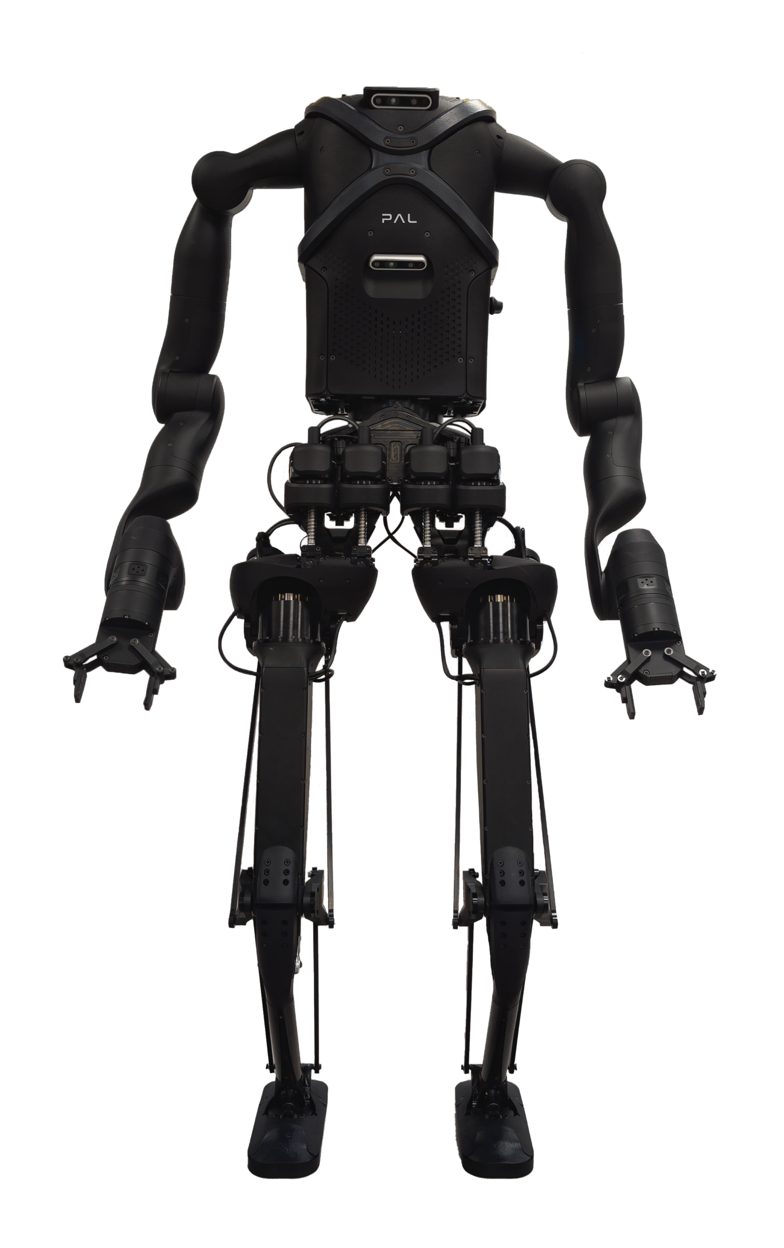 KANGAROO robot