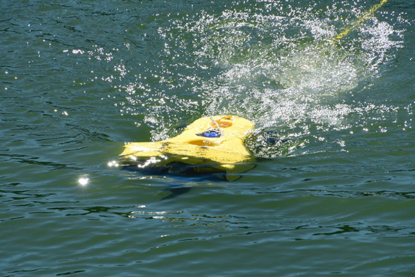 Pro 5 deployed