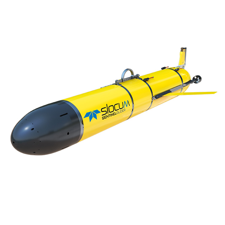 Slocum Sentinel Glider