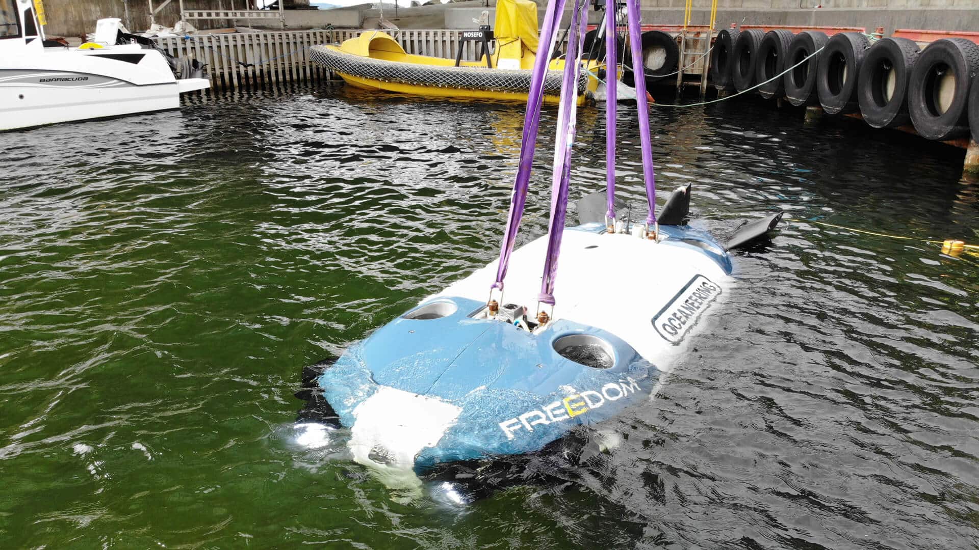 Freedom AUV