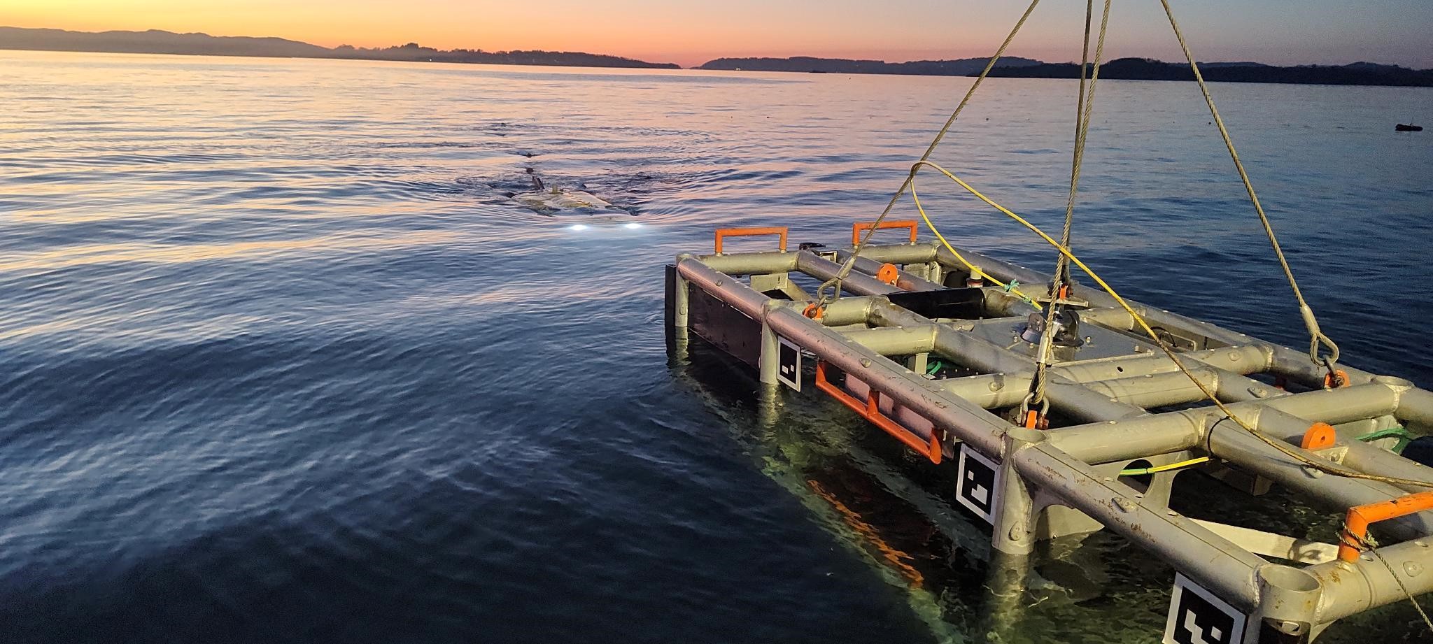 Freedom AUV