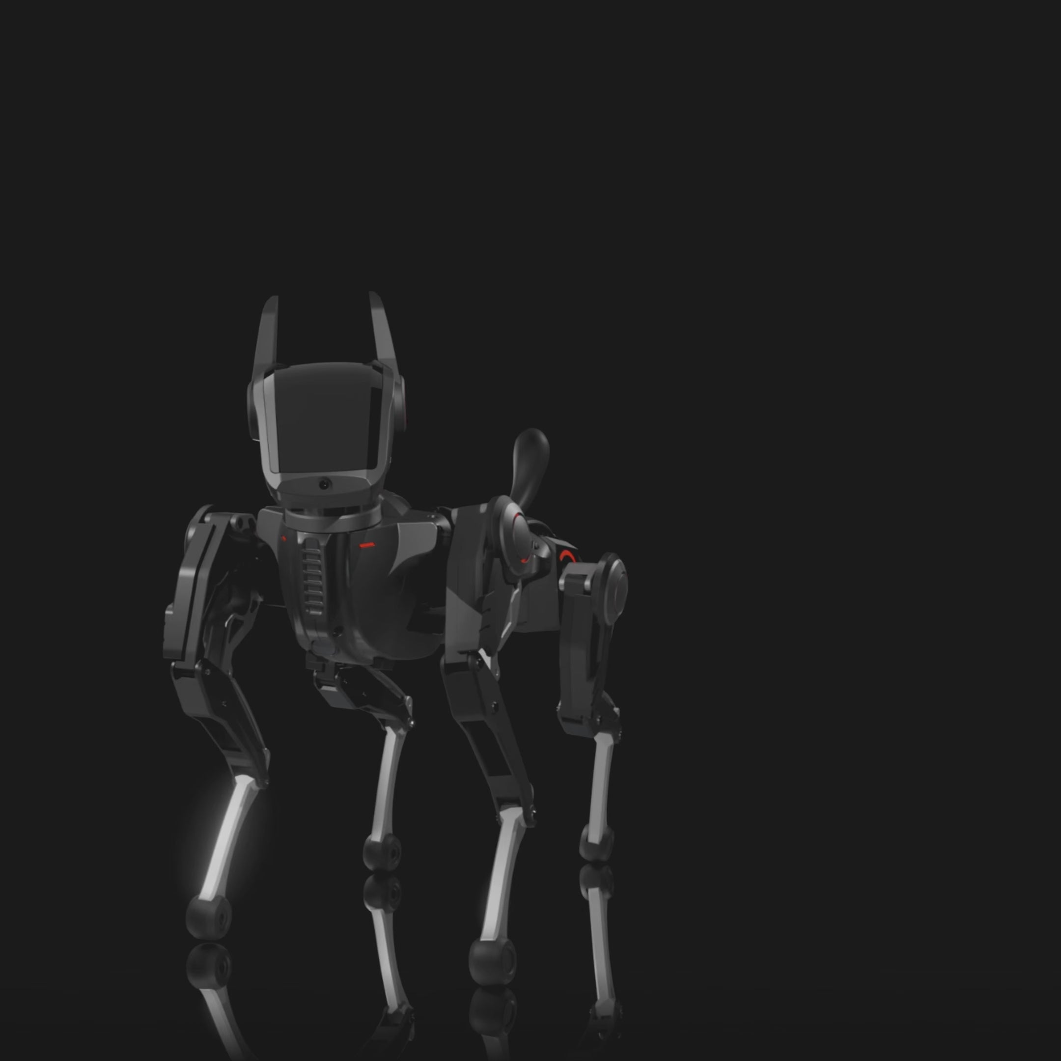 Hengbot Sirius