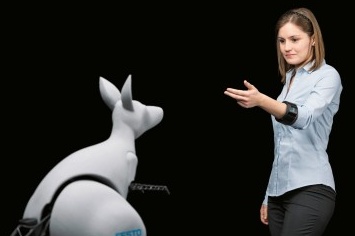 BionicKangaroo