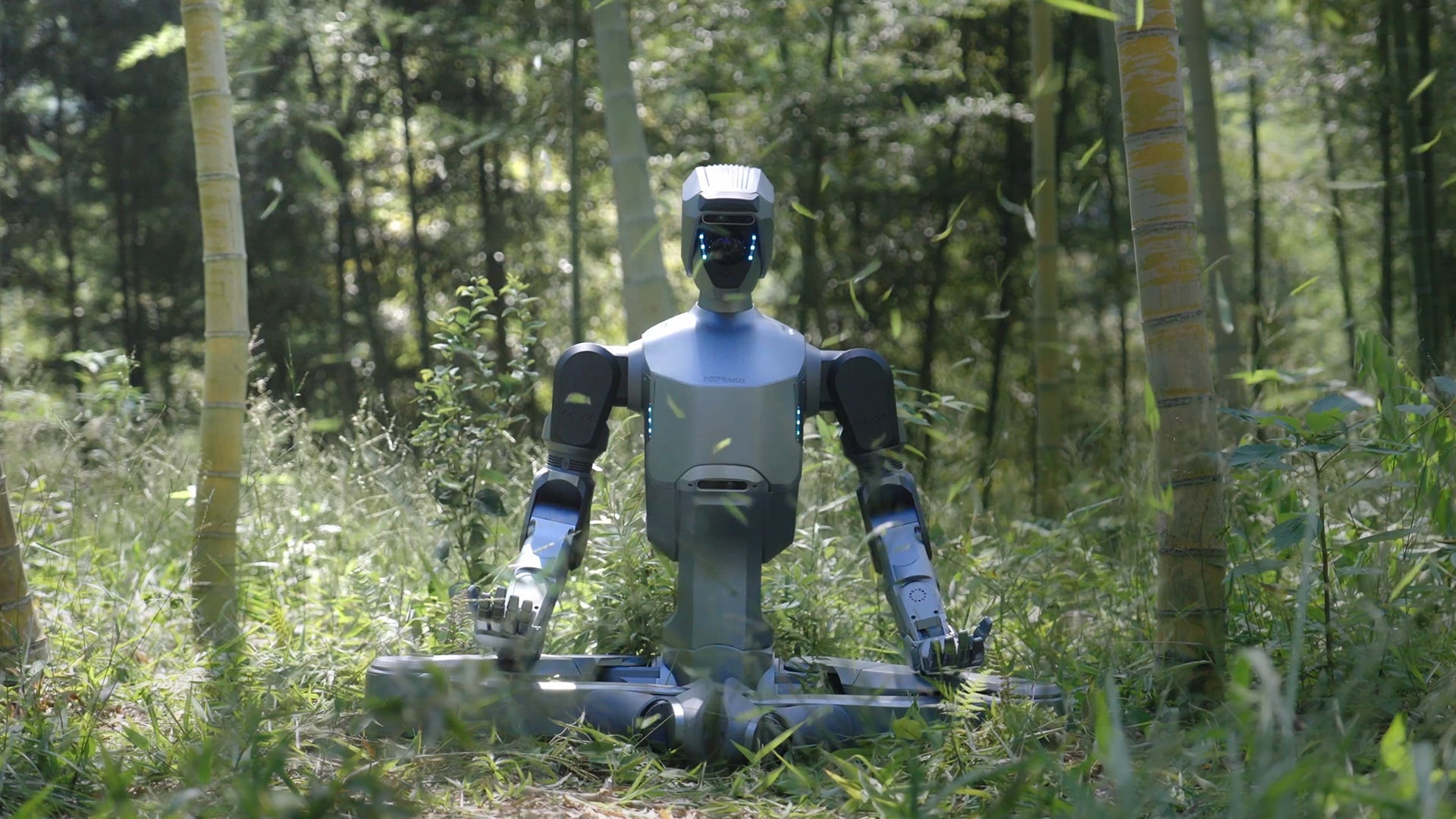DR-02