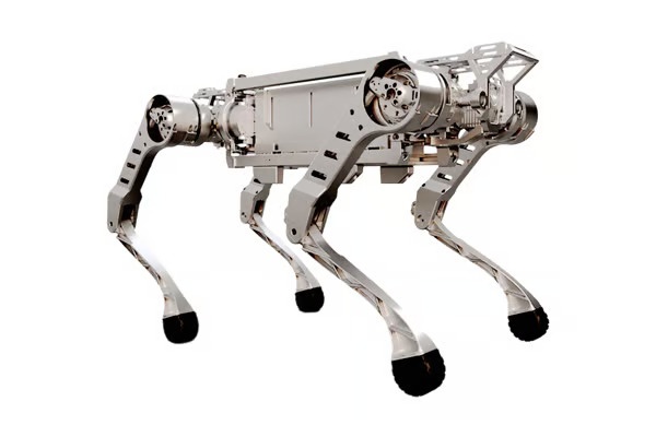 Black Panther robot