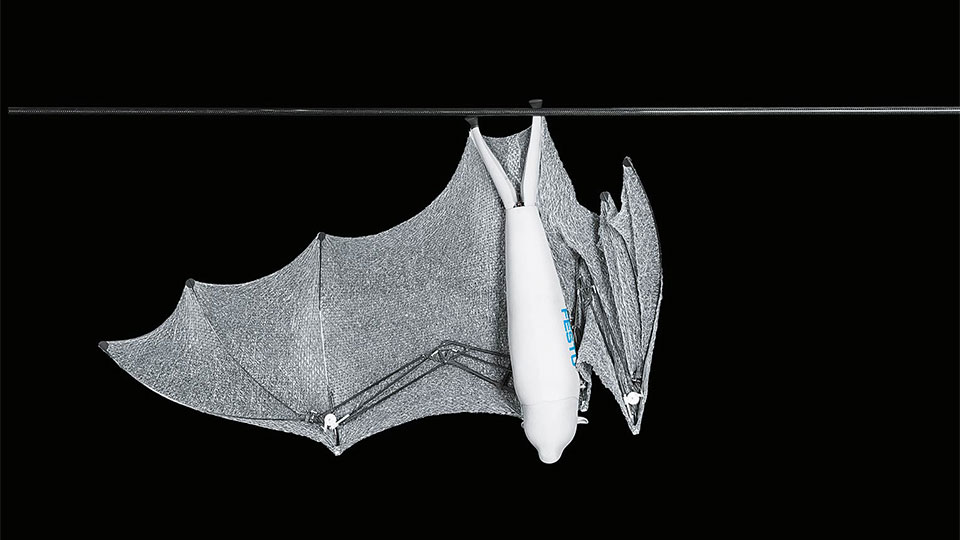 Bionic Flying Fox