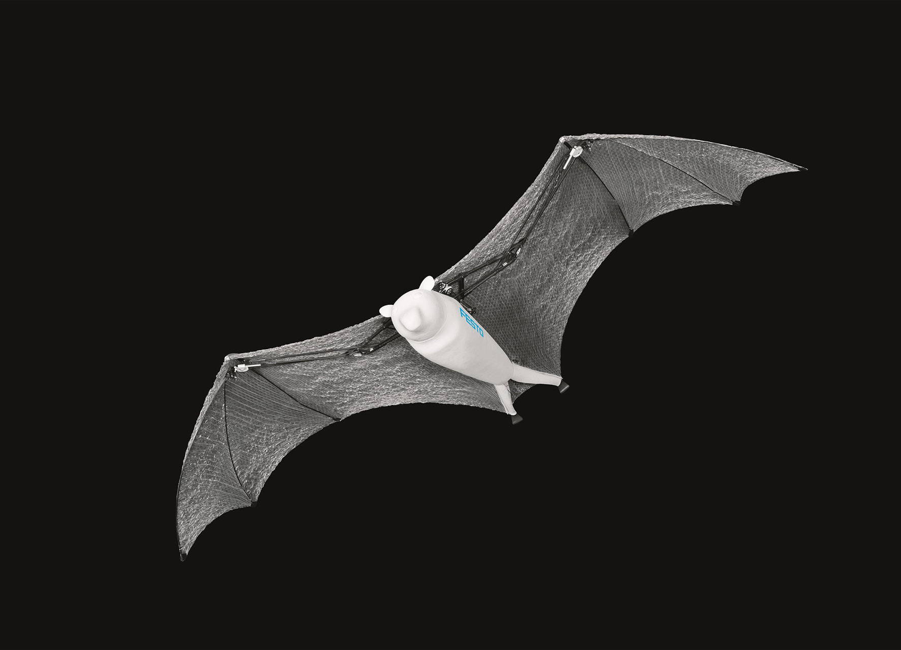 Bionic Flying Fox