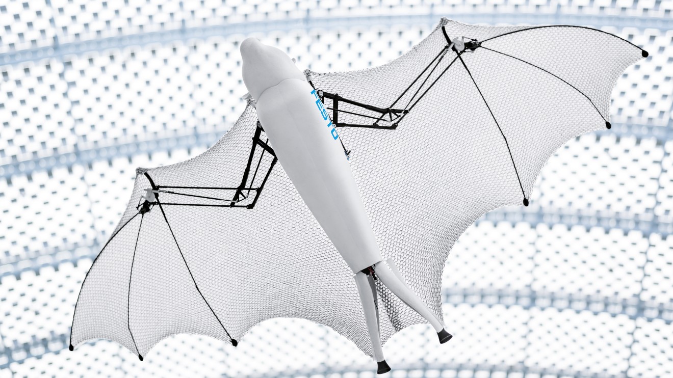 Bionic Flying Fox