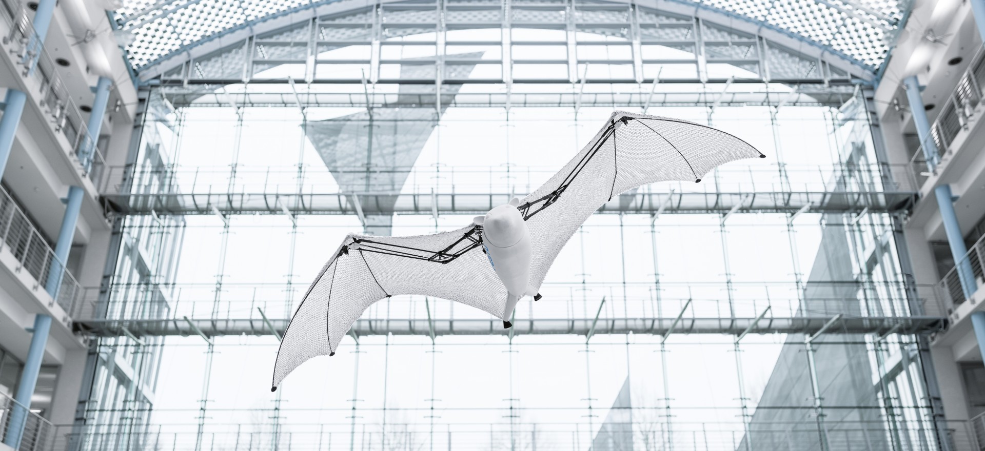 Bionic Flying Fox