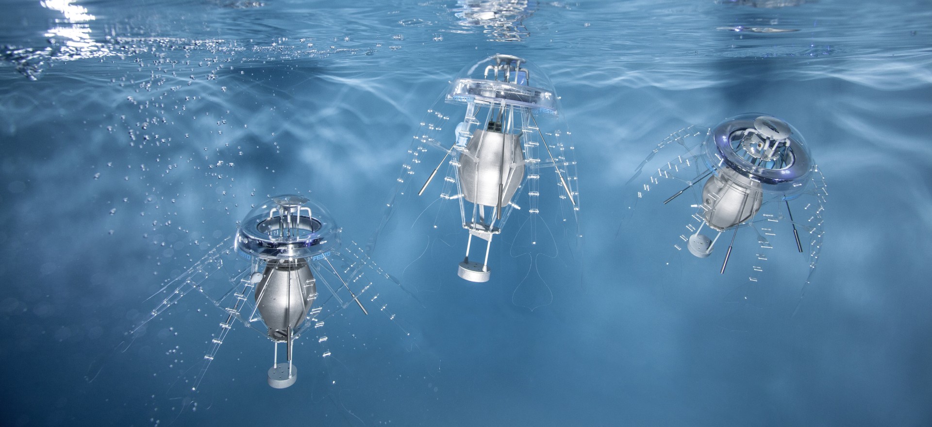 AquaJellies