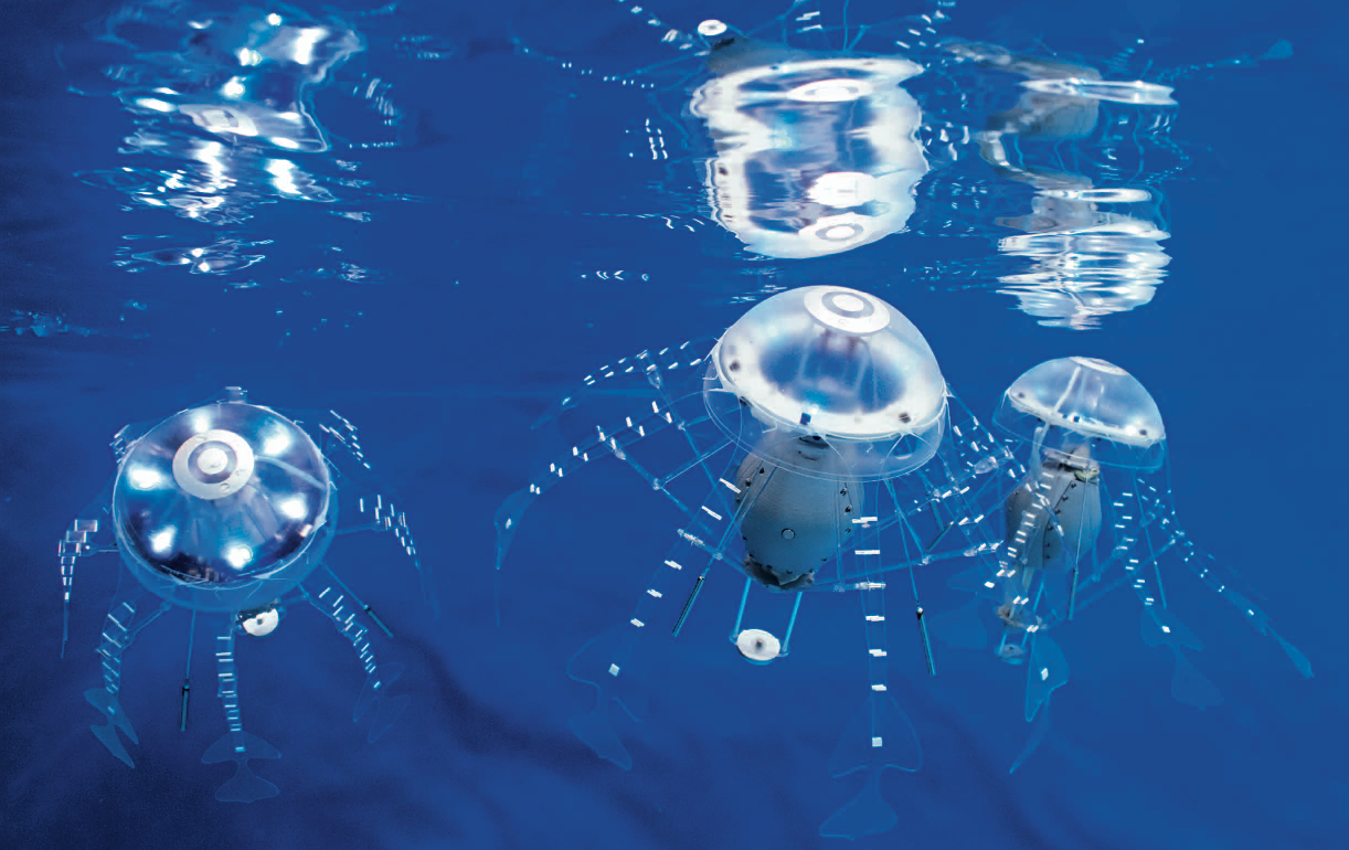 AquaJellies