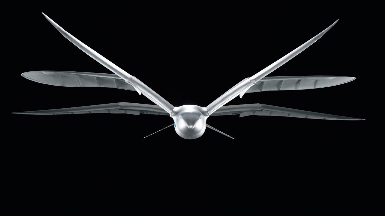 SmartBird Festo