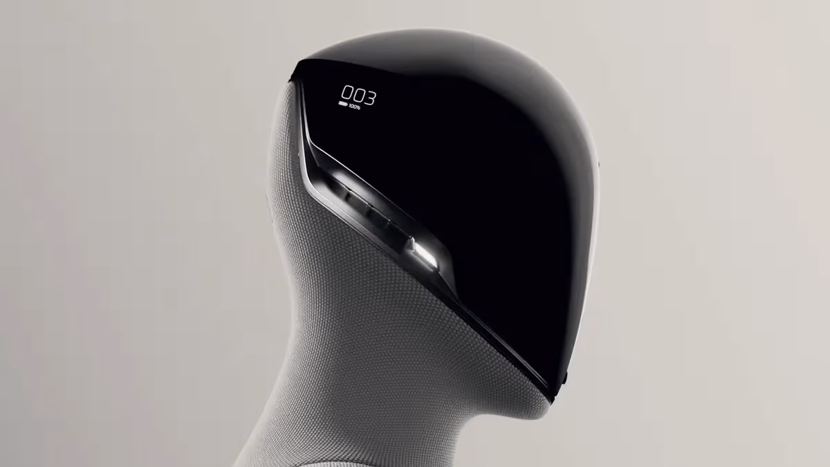人形機器人(次世代)