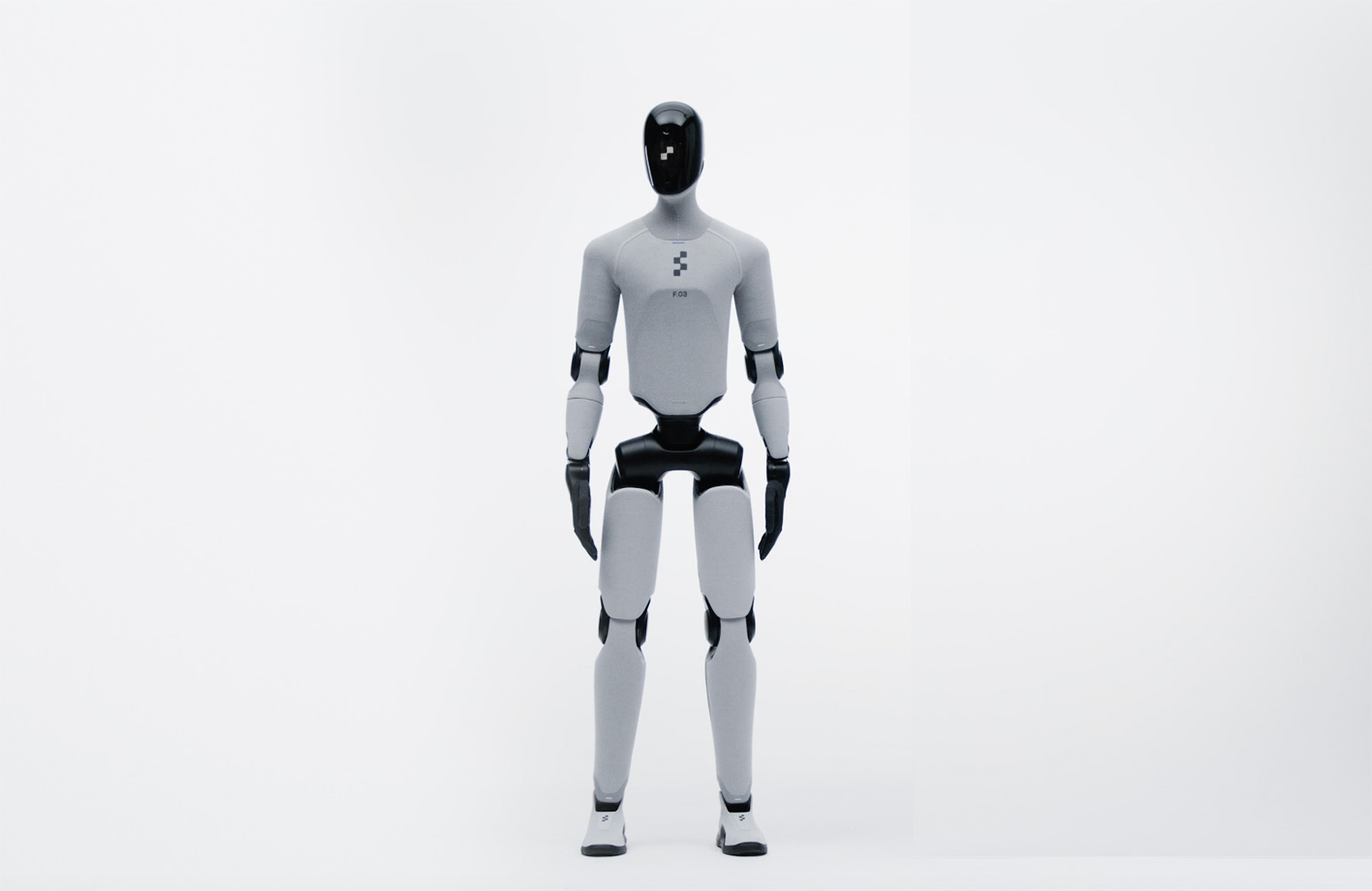 人形機器人(次世代)