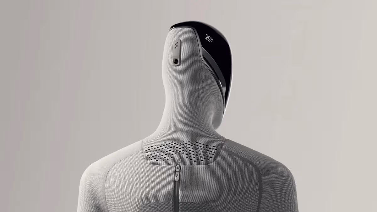 人形機器人(次世代)