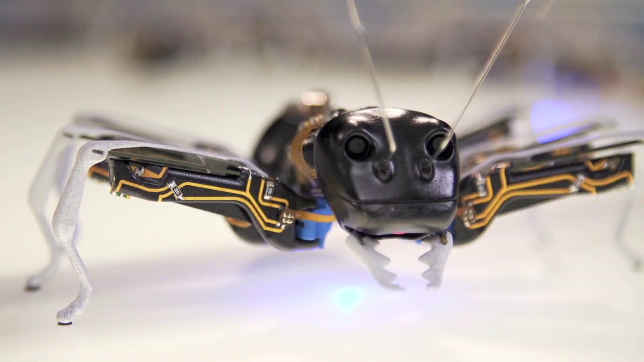 BionicANTs
