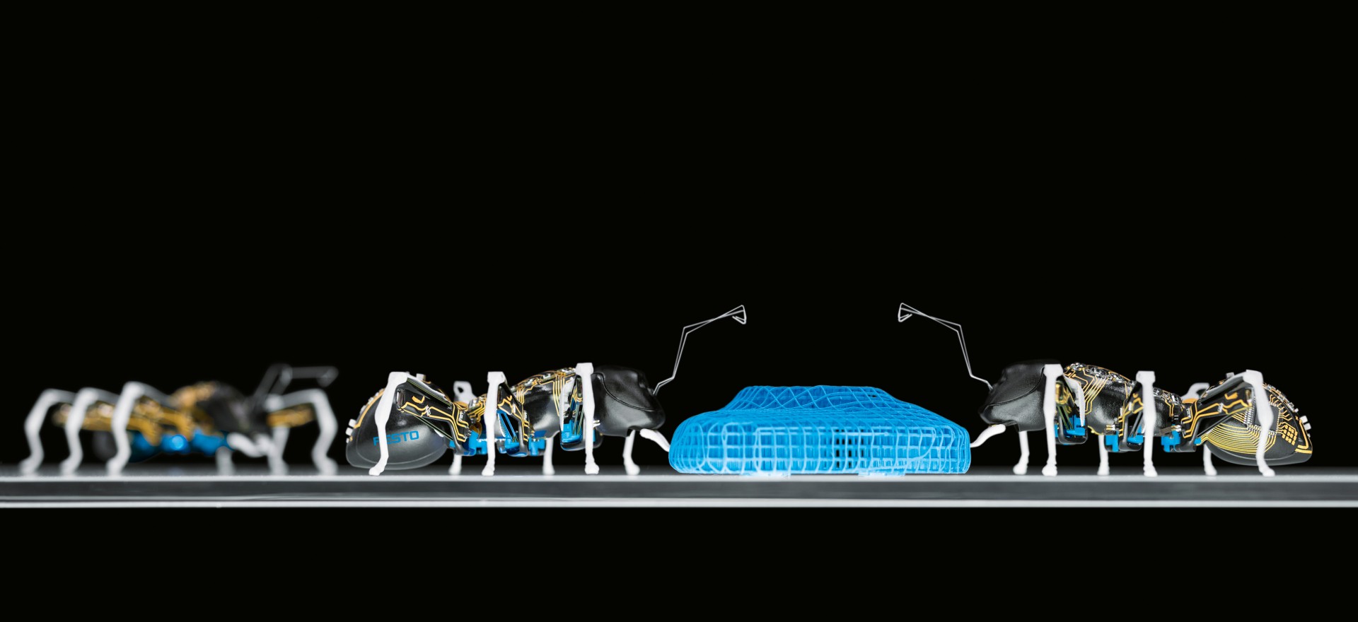 BionicANTs