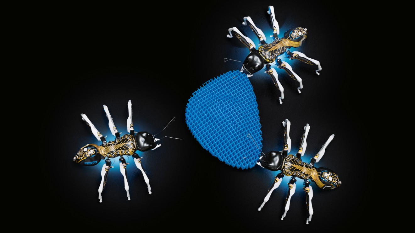 BionicANTs