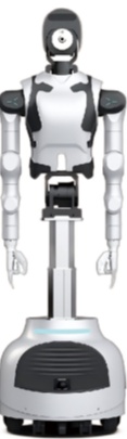 YMBot Type D2 robot