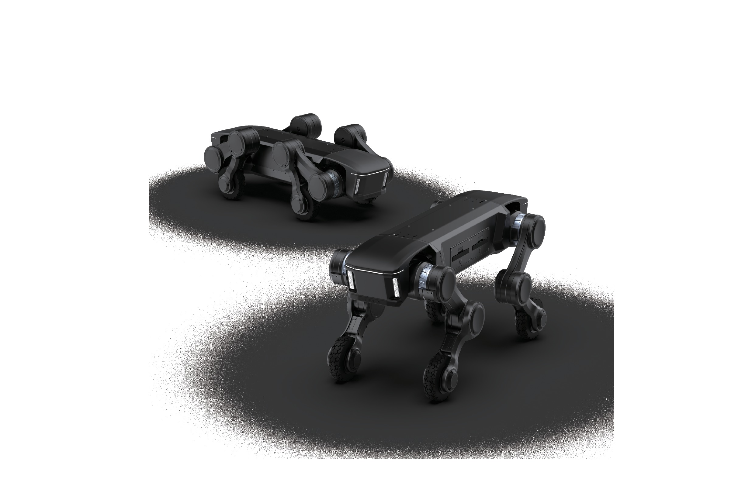 PHYBOT D1