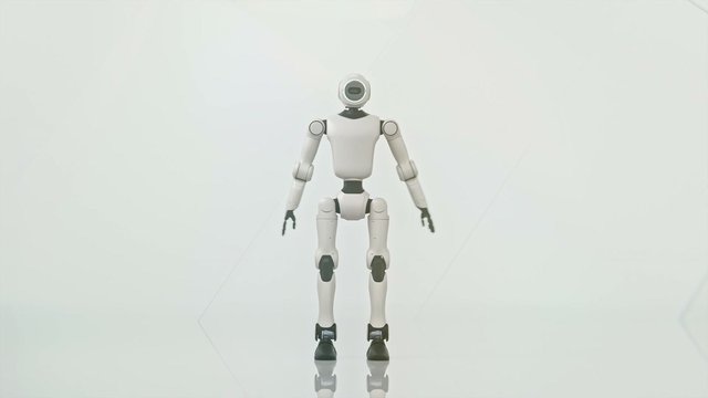 PHYBOT C1