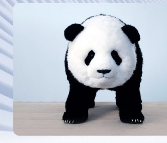 Magic Panda
